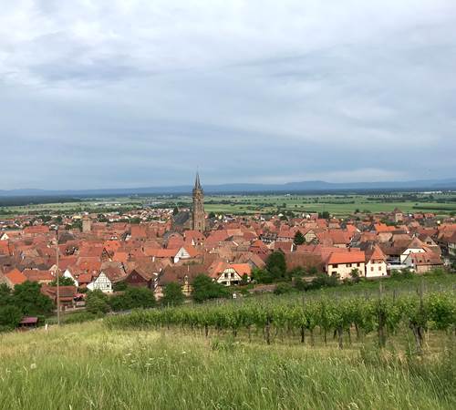 Dambach-la-ville