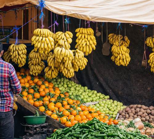 Les beaux fruits et légumes du souk