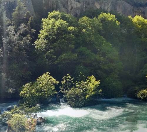 La Sorgue à Fontaine de Vaucluse