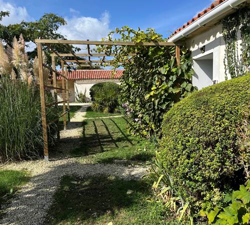 Pergola kiwis
