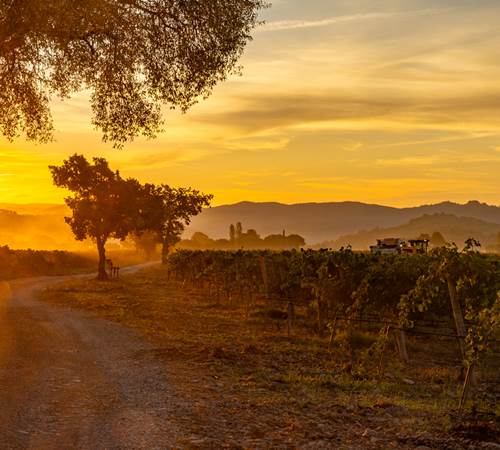 Domaine des Perirecedes BD-0041