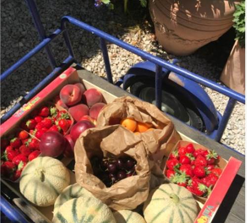 En direct du producteur-galerie