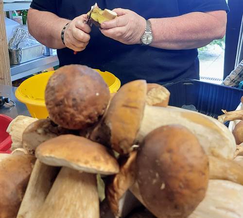 Sans titre-photo-page