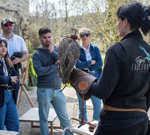 Découverte de l'art de la fauconnerie-photo-page