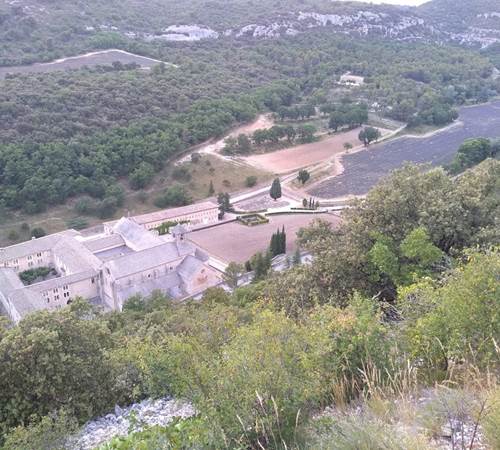Abbaye de sénanque