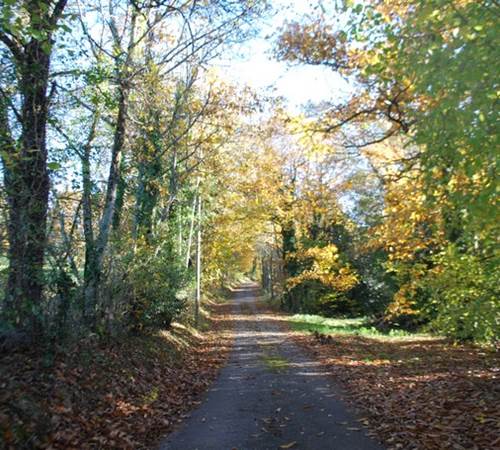 balade en novembre au départ du Ranch des Lacs Hotel à la campagne-photo-page