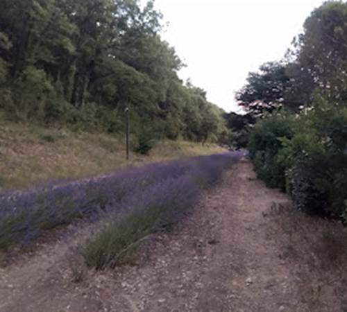 Sans titre