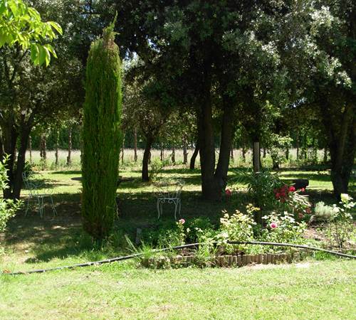 Le parc avec des chênes et des oliviers-galerie