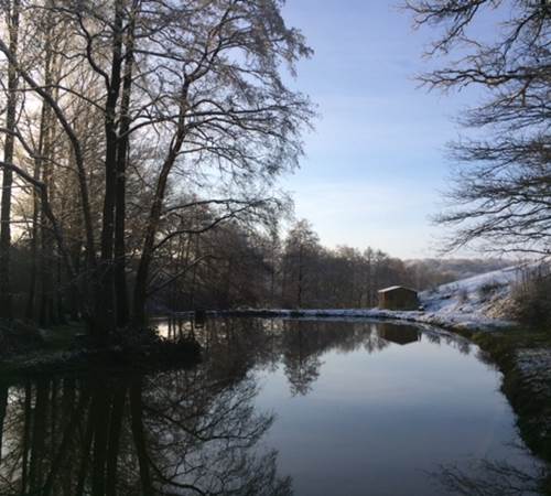 Etang convertible en patinoire par moins 10