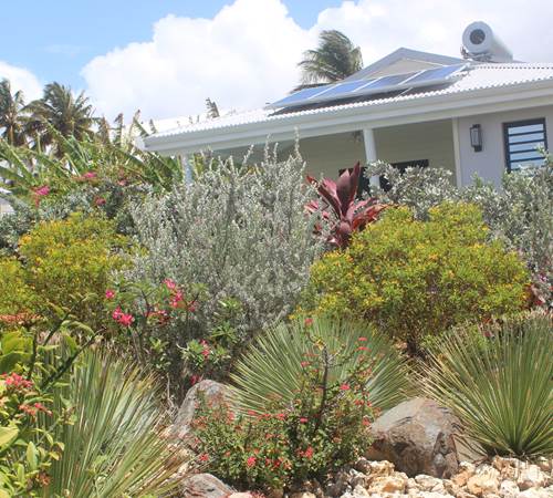 Iguane House villas & Micro Spa : le soleil fournit directement l'énergie pour la filtration des piscines et le chauffage de l'eau sanitaire...