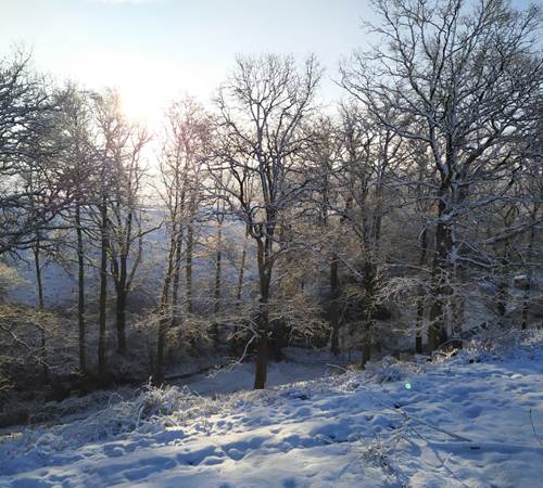 IMG-20210124-WA0024