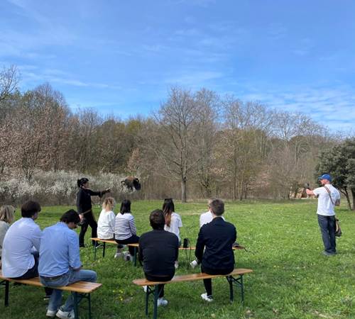 Démonstration-photo-page