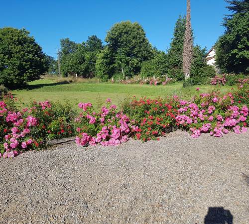 jardin fleuri Le Ranch des Lacs-galerie
