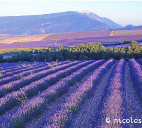 Photo Nicolas Ughetto-photo-page