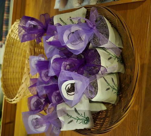 Sans titre-photo-page