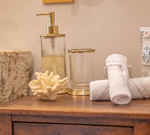 Détails salle de bain-galerie