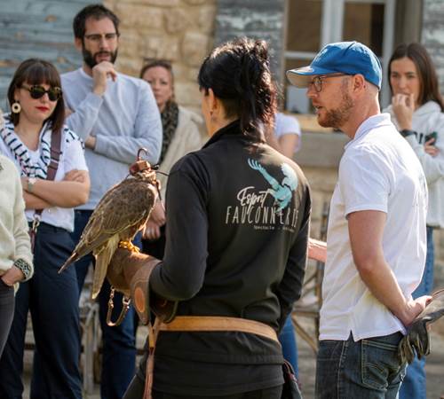 Activité de fauconnerie-photo-page