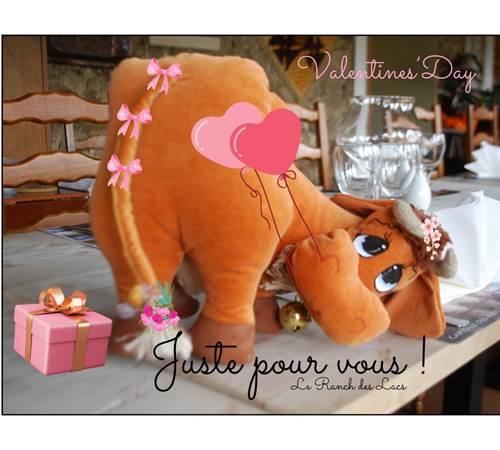 Valentines'Day Marguerite Le Ranch des Lacs-galerie