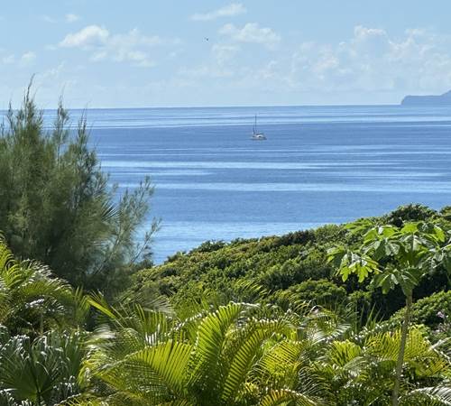 Iguane House villas & Micro Spa Evasion estivale