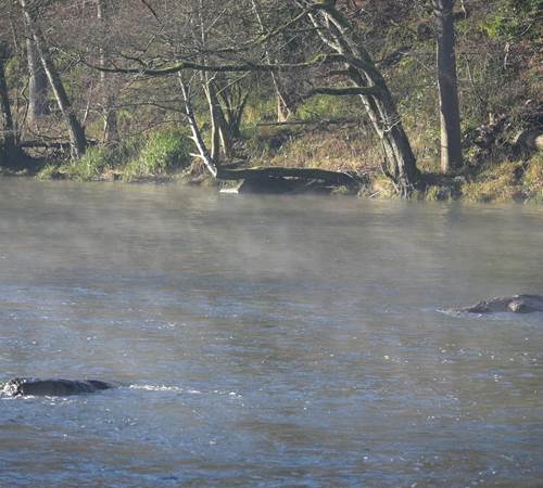 Amblève / Amel - Zonsopgang - Lever de soleil - Sonnenaufgang - Sunrise-photo-page