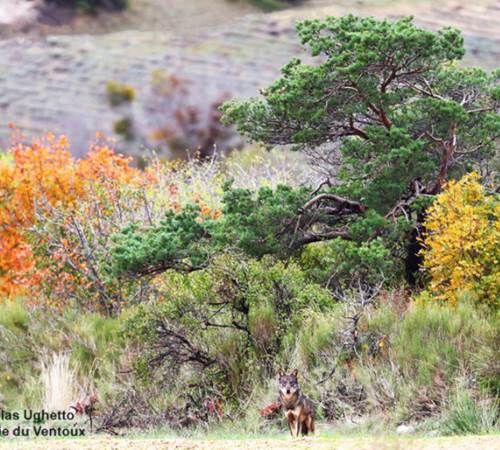 Photo Nicolas Ughetto-photo-page