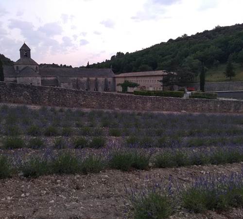 abbaye de sénanque