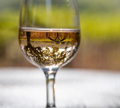 Domaine des Peirecedes-0274