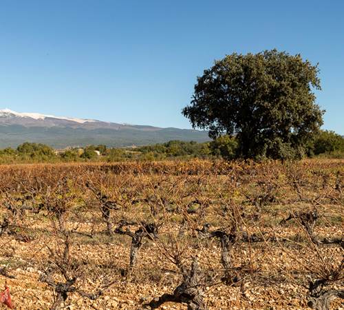 165A8616-Panorama-galerie