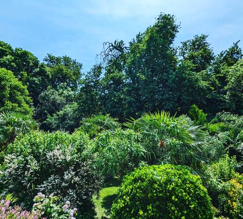 vue de la terrasse du jardin luxuriant-photo-page