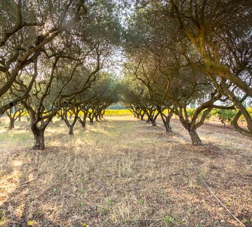 Domaine des Perirecedes BD-0091
