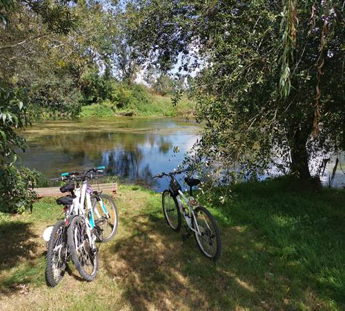 Au bord de l Indre-galerie