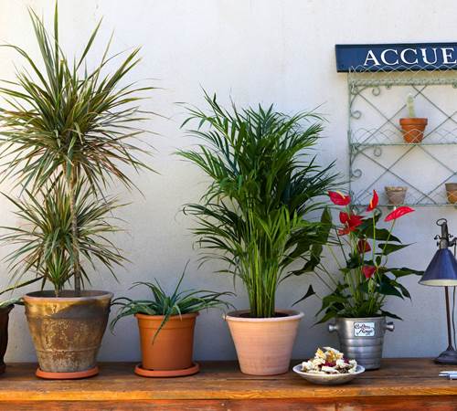 Hébergement près du théâtre antique d’Orange-galerie