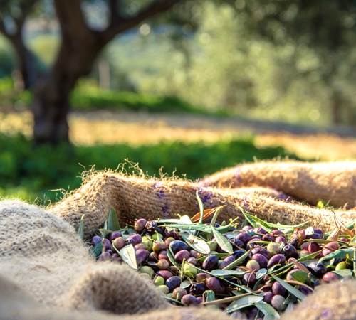 Sans titre-photo-page