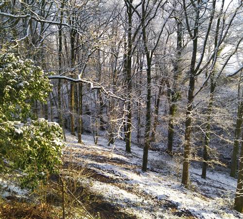 IMG-20210124-WA0013