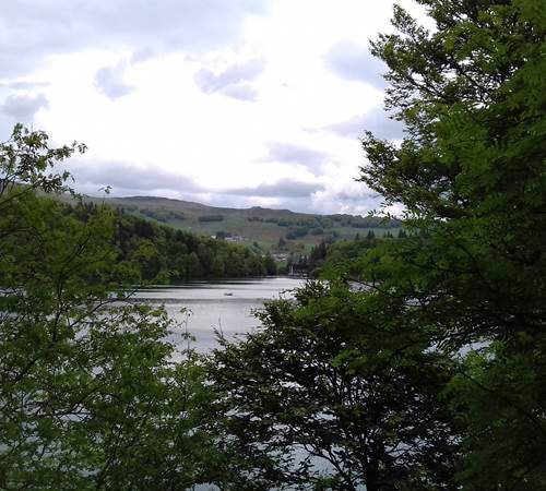 Le lac Pavin-galerie