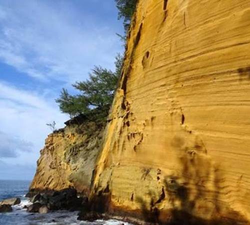 cap jaune 01