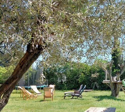 Le jardin espace de détente-galerie