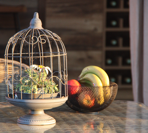 Salon extérieur-photo-page