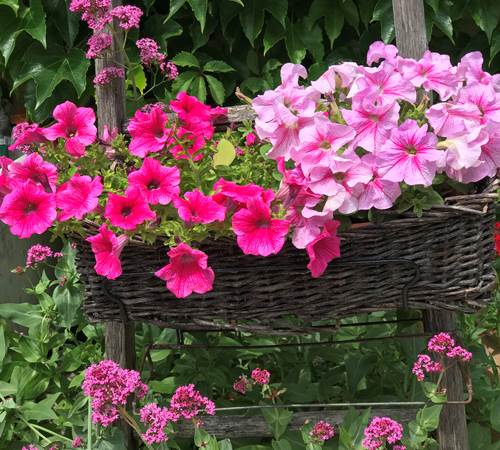 Chambre Mont Serein-galerie