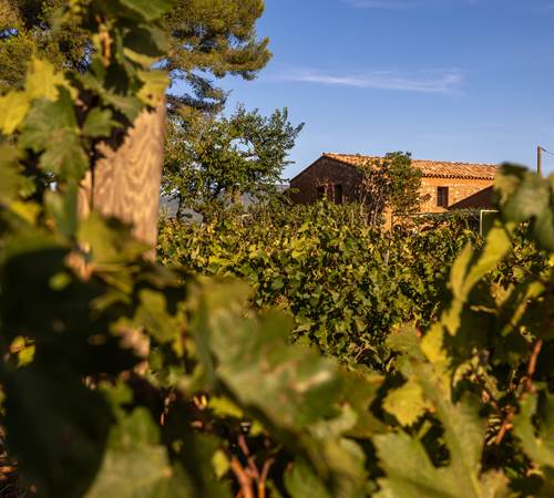 Domaine des Peirecedes-0095