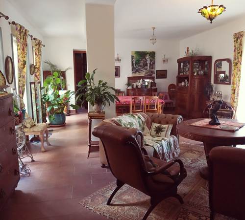 salon salle à manger réservé aux hôtes-photo-page