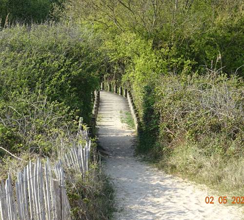 sentiers-et-panneaux-explicatifs-parcours-historique-pour-comprendre-le-jour-j-galerie