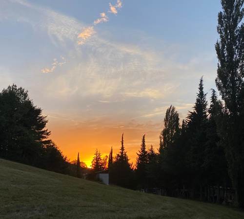 IMG-20260303-WA0011-galerie