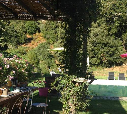 PTIT DEJ PISCINE-galerie