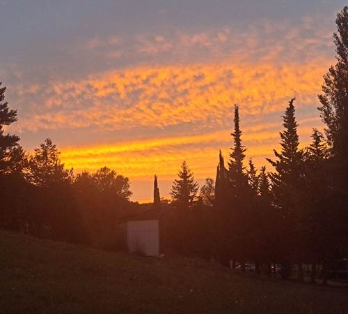 IMG-20230822-WA0002-galerie