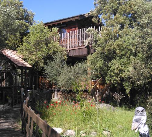 Notre cabane dans l'arbre-galerie