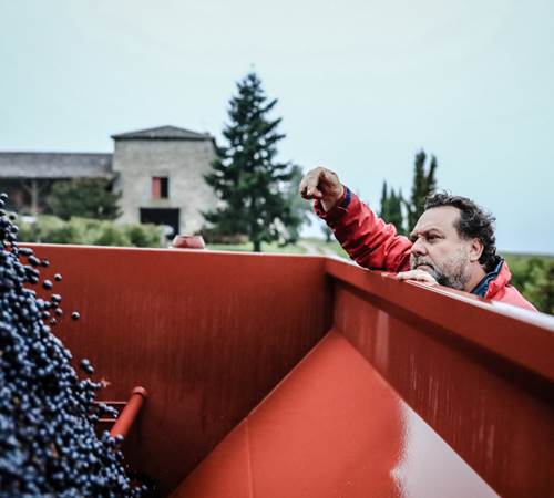 VENDANGES-photo-page