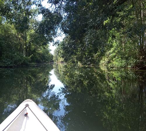 balade en canöe sur la Seugne-photo-page