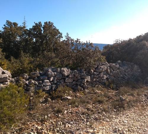 Le mur de la peste