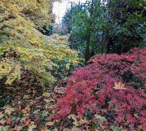 Sans titre-photo-page